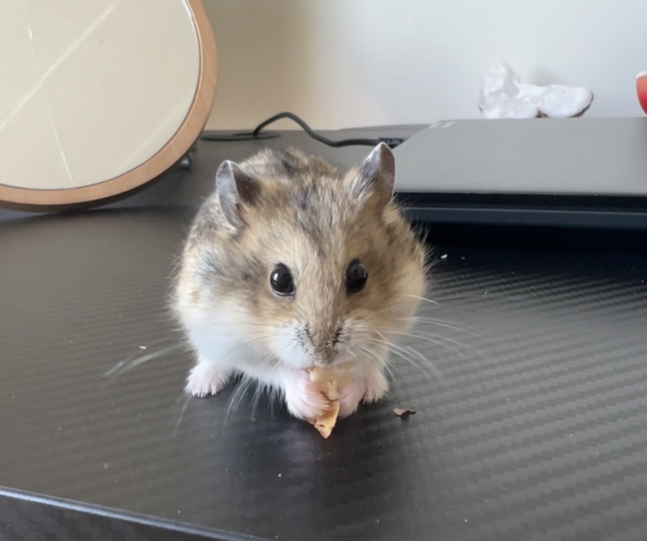 Coco